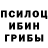 Псилоцибиновые грибы мухоморы RBW MOSCOW