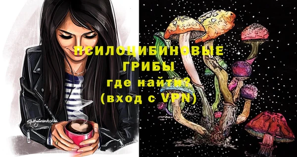 спиды Ладушкин